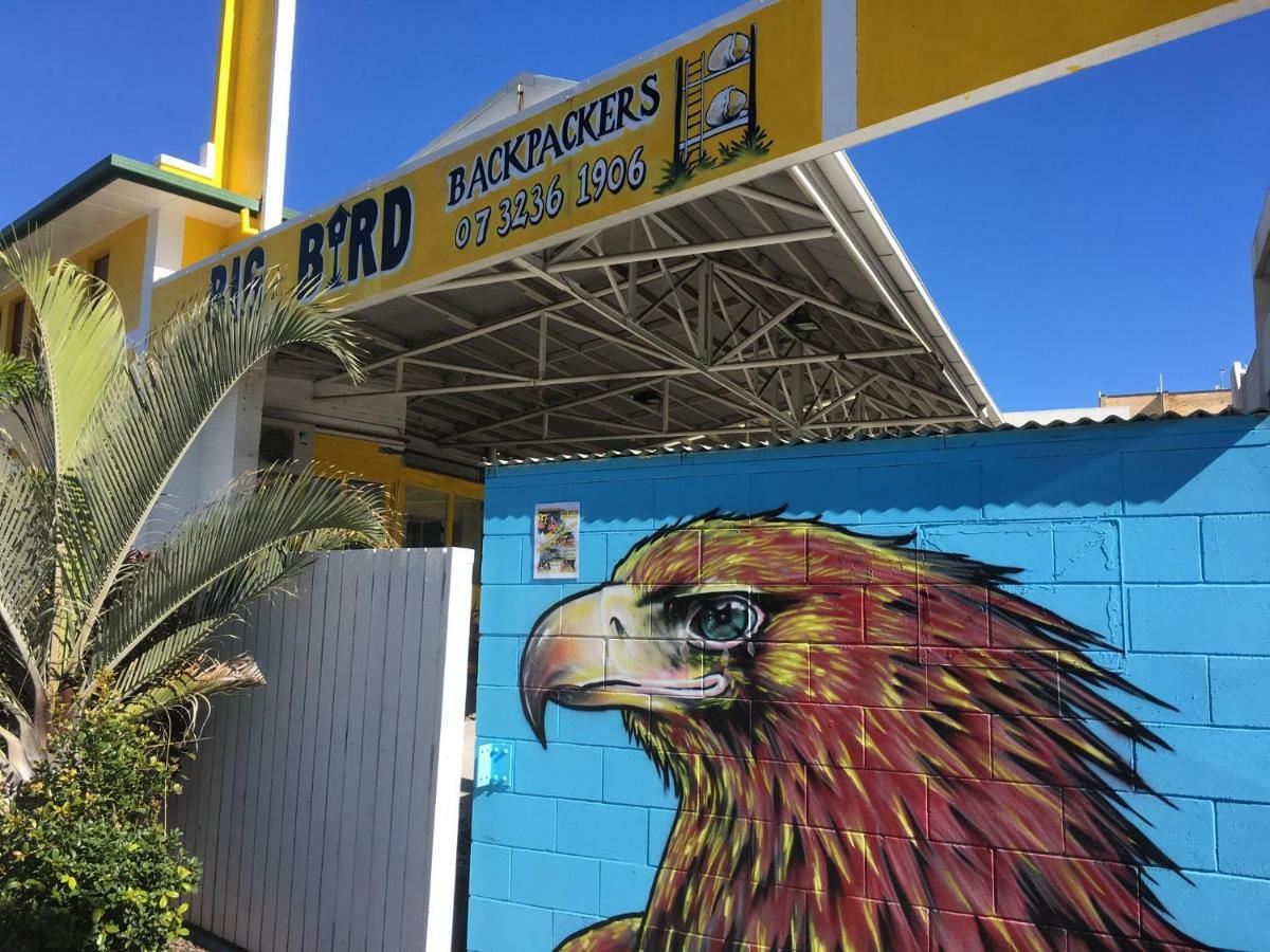 Big Bird Backpackers Brisbane Exterior photo